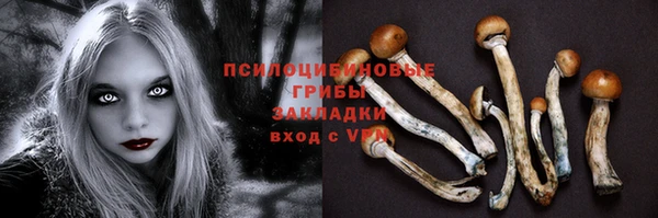 spice Приозерск